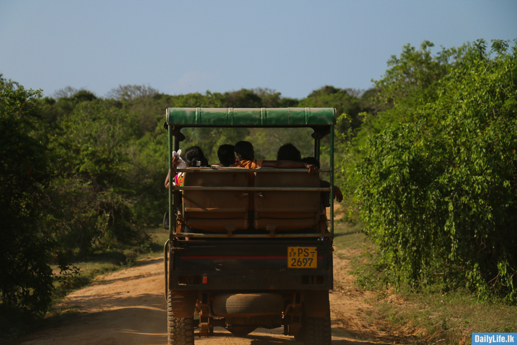 Yala National Park